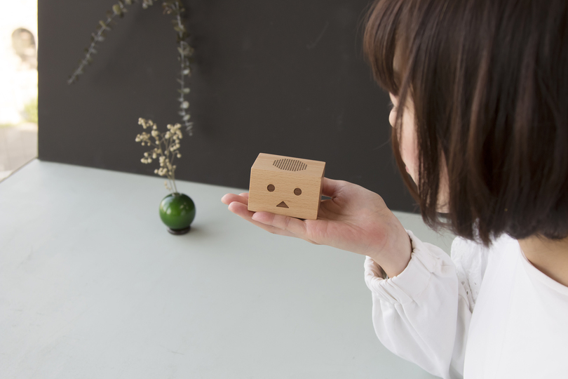 0613DANBOARD_WirelessSpeaker-01