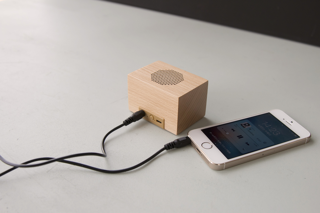 0613DANBOARD_WirelessSpeaker-03