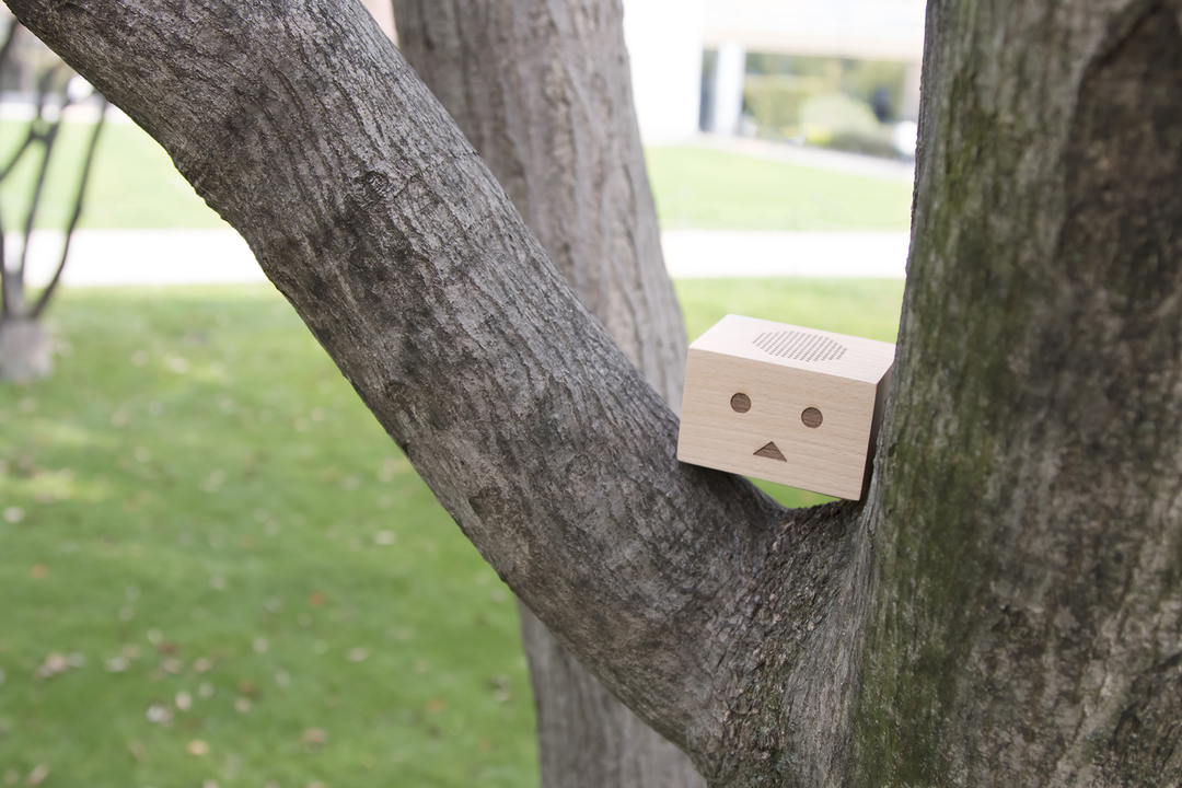 0613DANBOARD_WirelessSpeaker-05