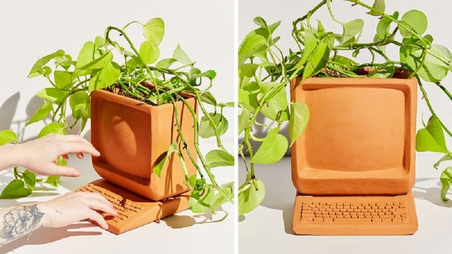 デスクトップPC型の植木鉢、本物のパソコンよりも“ウィンドウ”と相性がよさそう