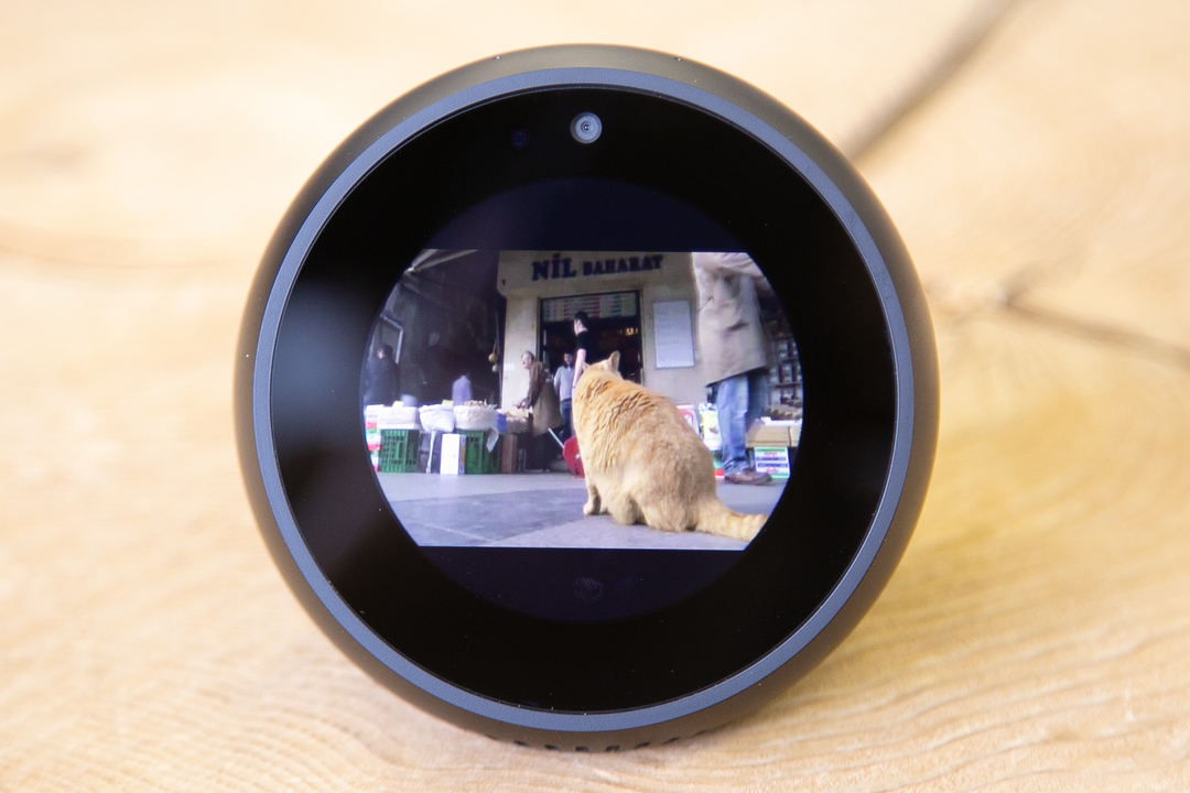 180726_amazon_echo_spot-8754