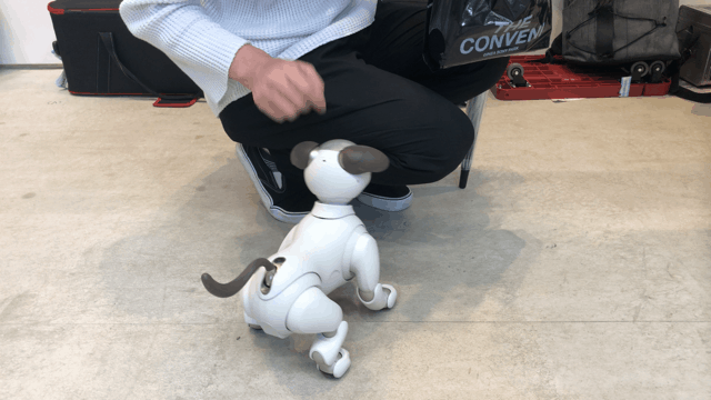 180808ginzasonypark_aibo