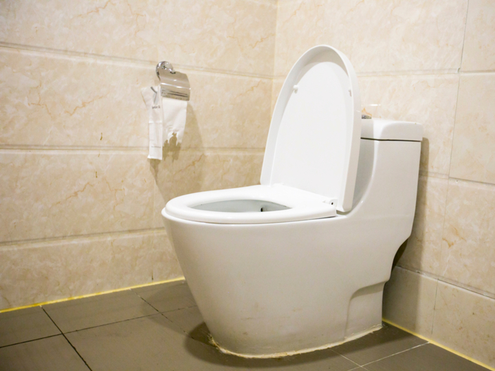 20180808_toilet