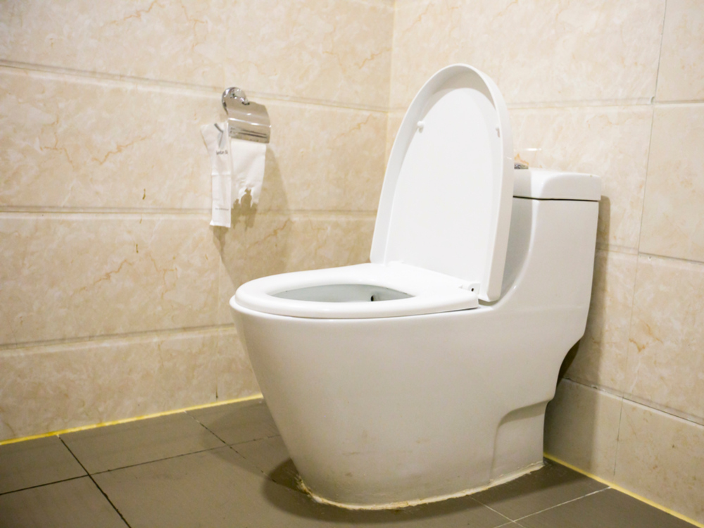 公共トイレの鈍感センサーってイライラしないですか ギズモード ジャパン