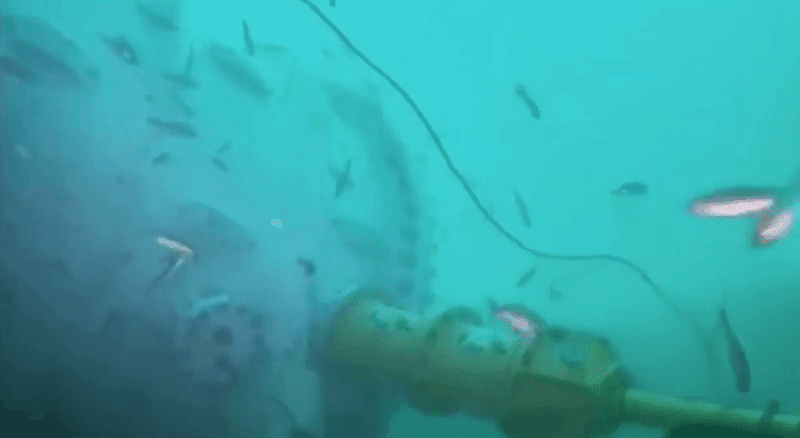 20180810-live-stream-of-microsoft-underwater-datacenter-01
