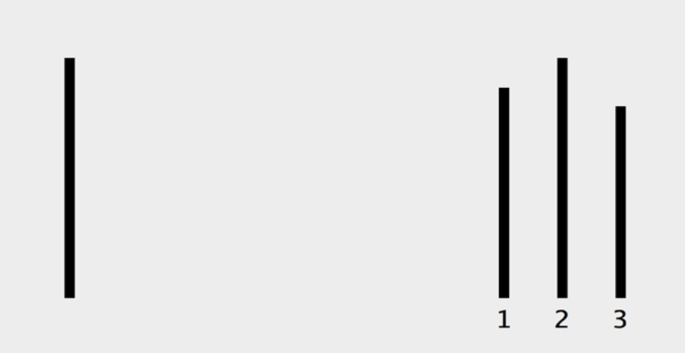 Screenshot taken from the Asch paradigm social conformity test.
