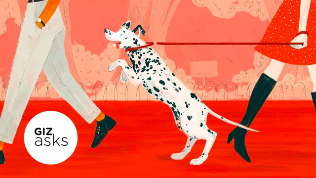 犬って飼い主のことを忘れちゃったりするの？