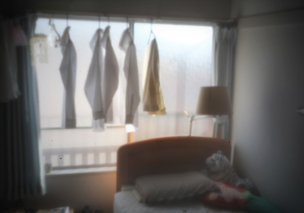 20181015-pinhole04