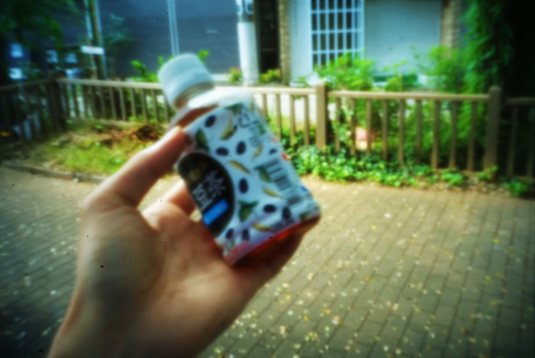 20181015-pinhole08