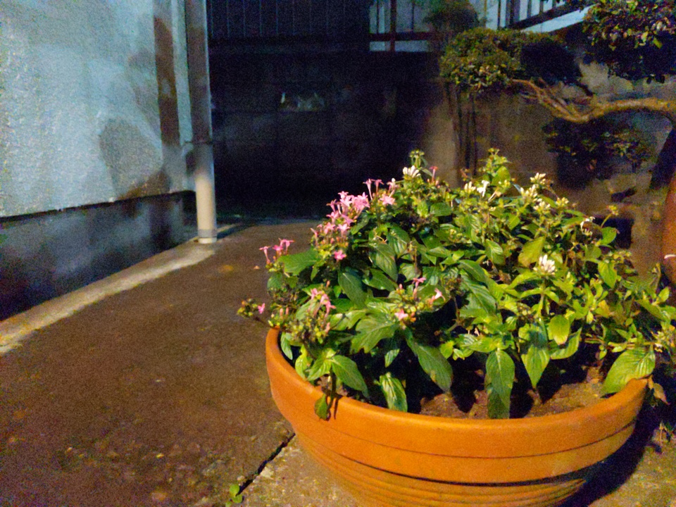 hdr_off