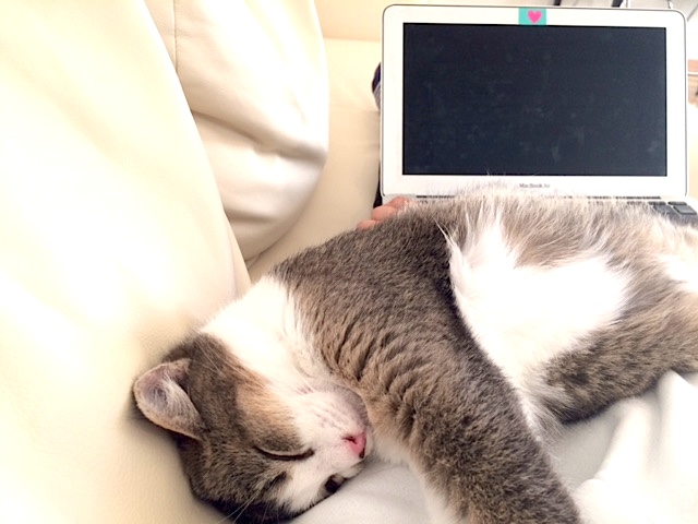 181226_desk_fukatsu