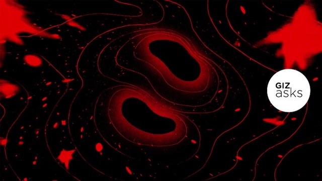 ブラックホールとブラックホールがぶつかったら、どうなるの?専門家に聞いてみた