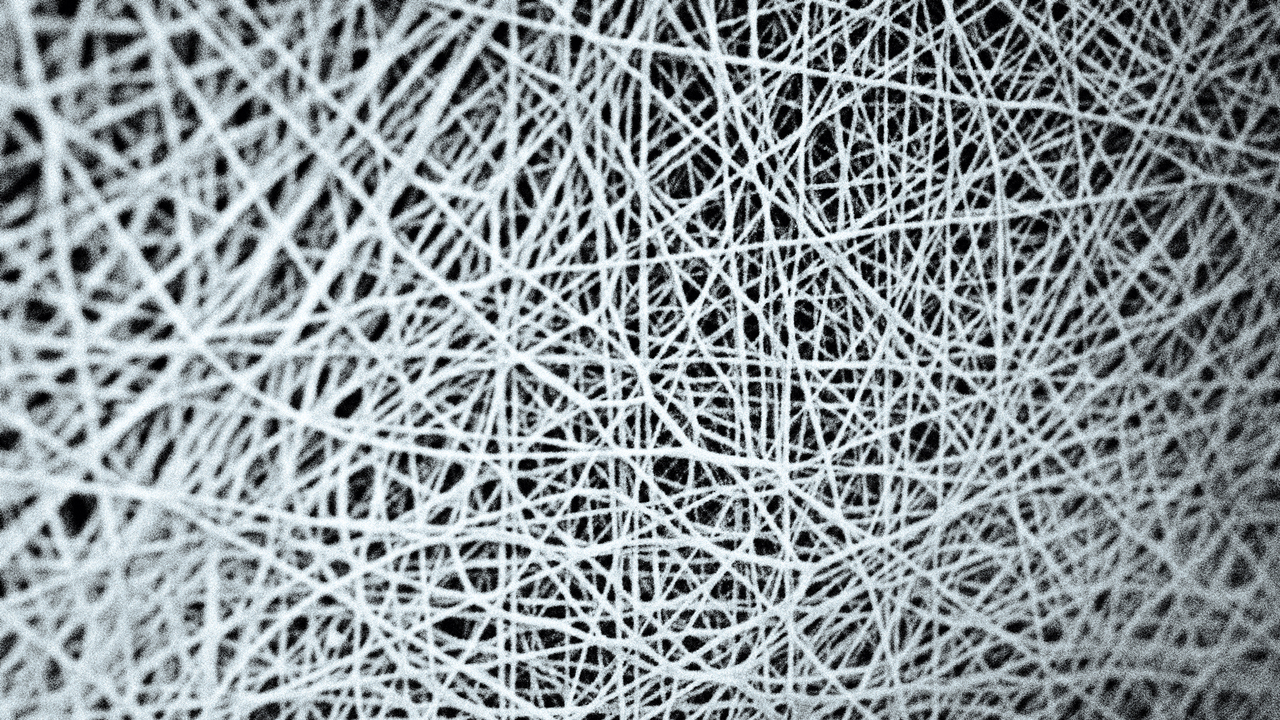 futurelight_image