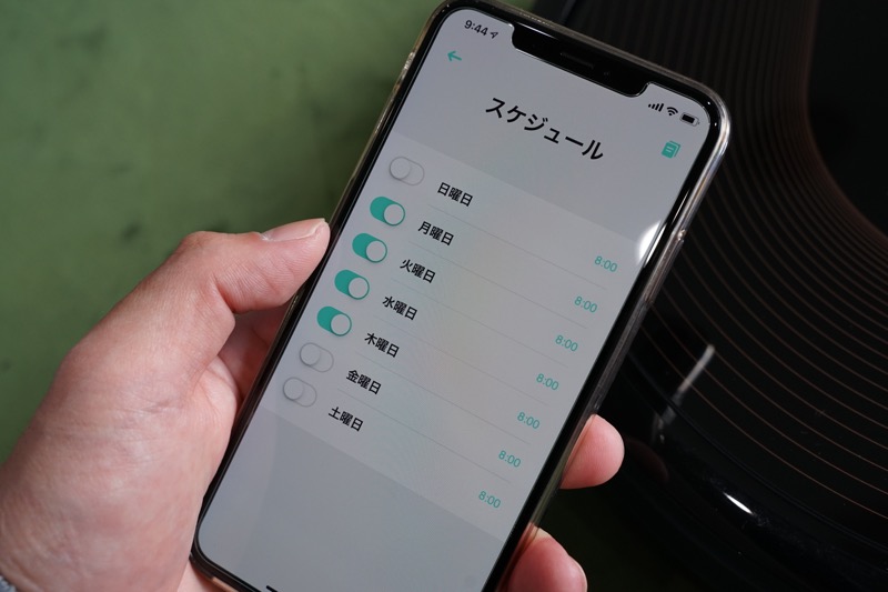 190206rok06r
