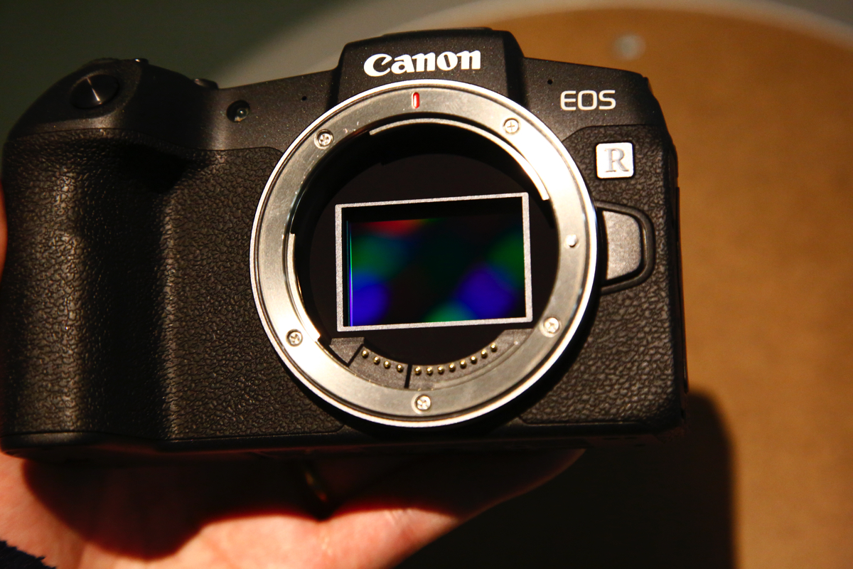 20190214gizmodo_eosrp__B0A0020