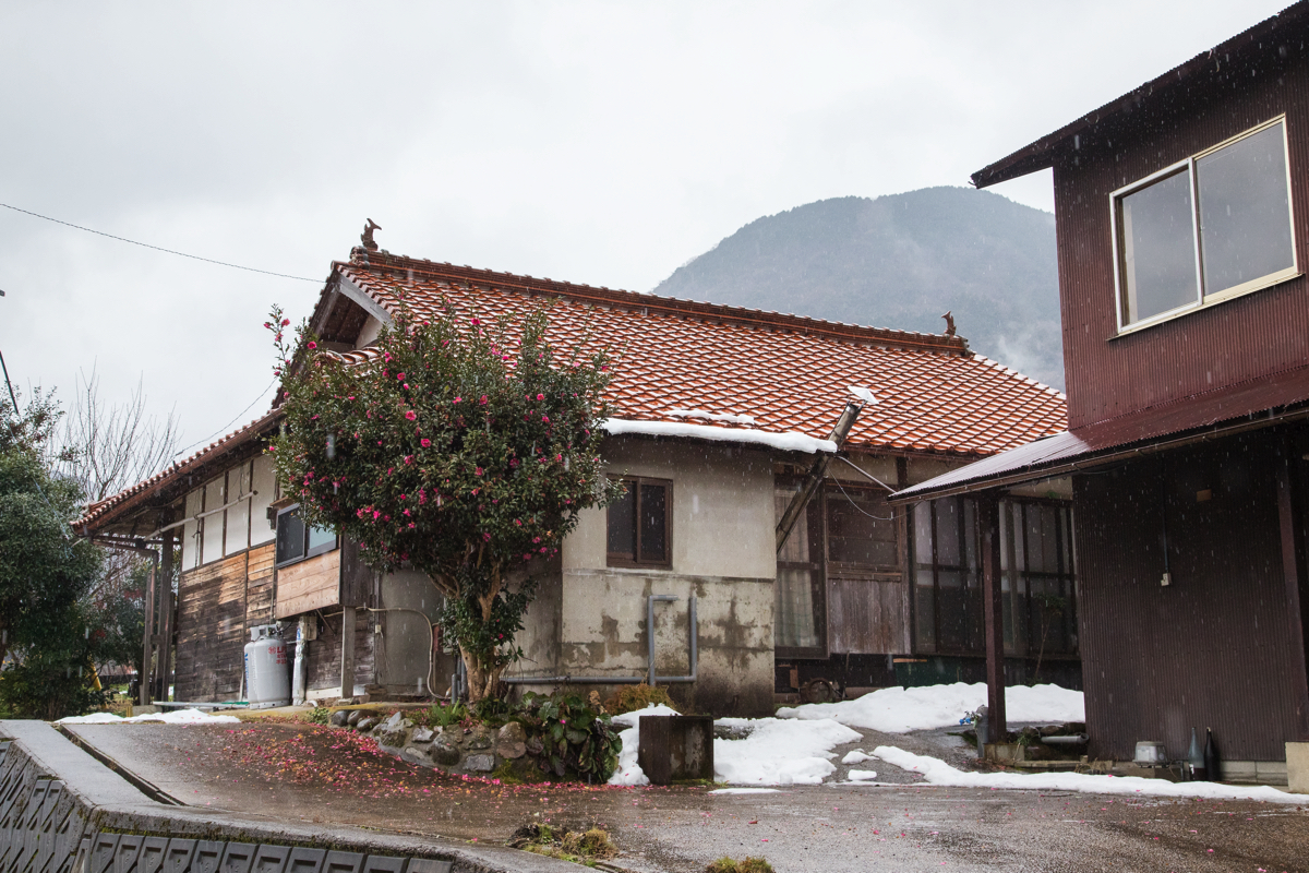 20190225gizmodo_tsuwano_IMG_3683