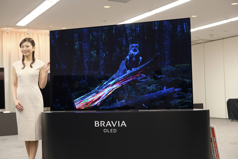 190311bravia02