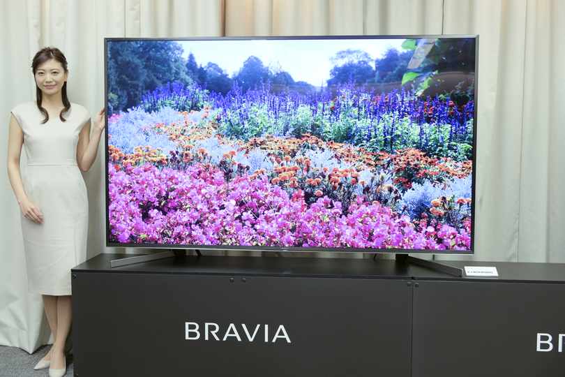 190311bravia03
