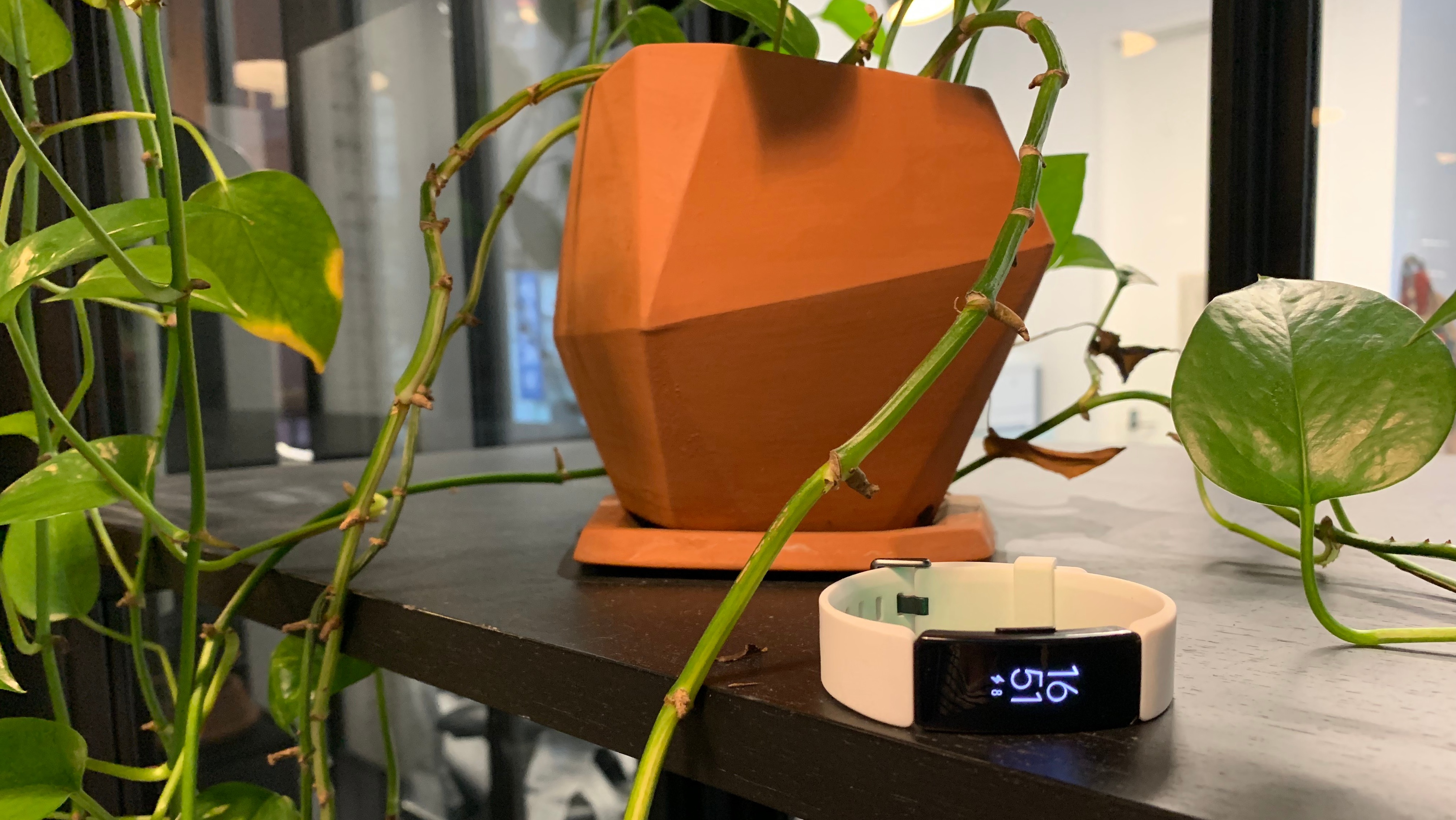 Fitbit Inspire HRレビュー：機能はいい。でも刺激のないフィットネス