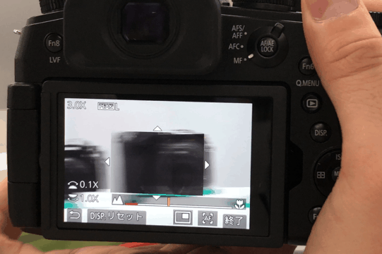 190315fz1000m2_07