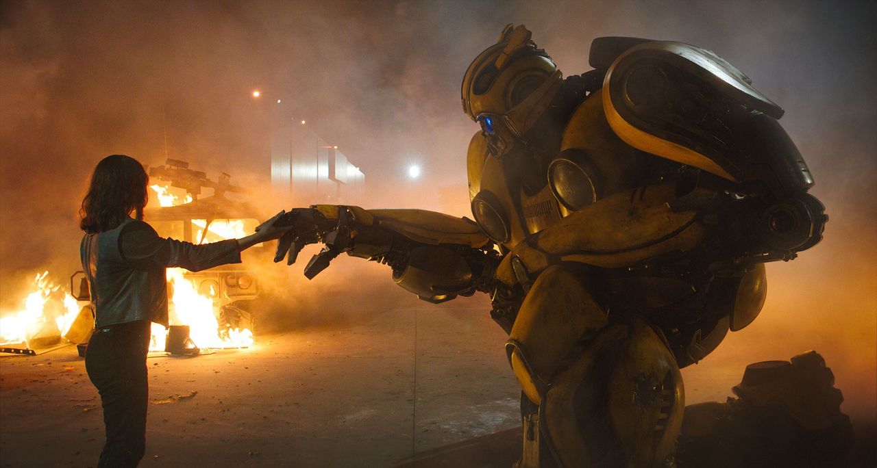 190317bumblebee6