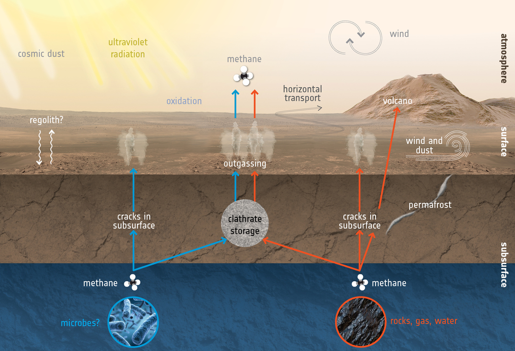 190403_curiosity3