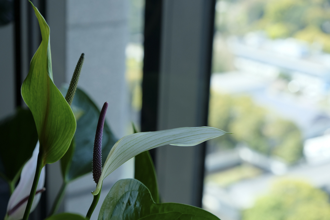 190409slackoffice_10