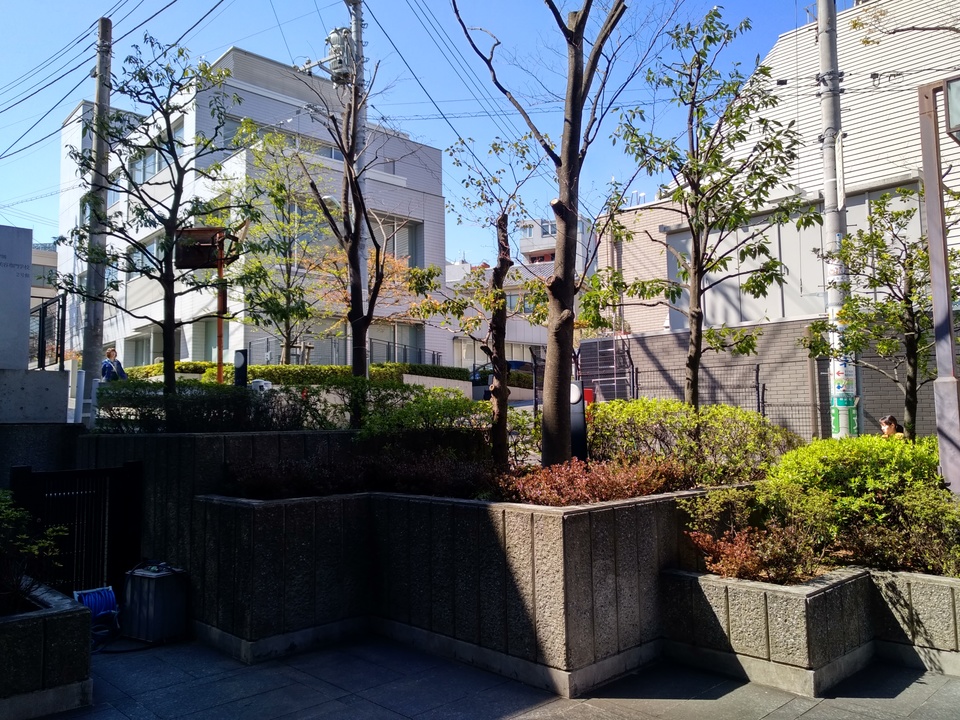 palm_shot1