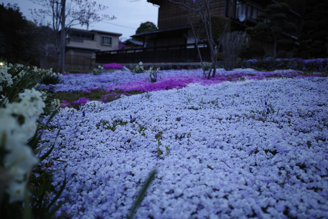 R0000581