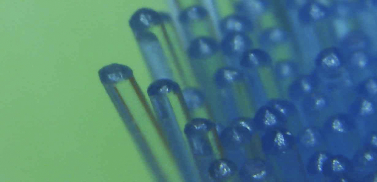 190516_sonicare10