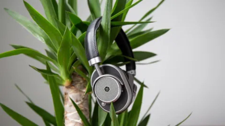 20190521gizmodo_master_dynamic