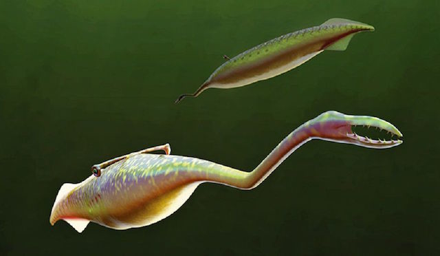 161011_ancientanimals12