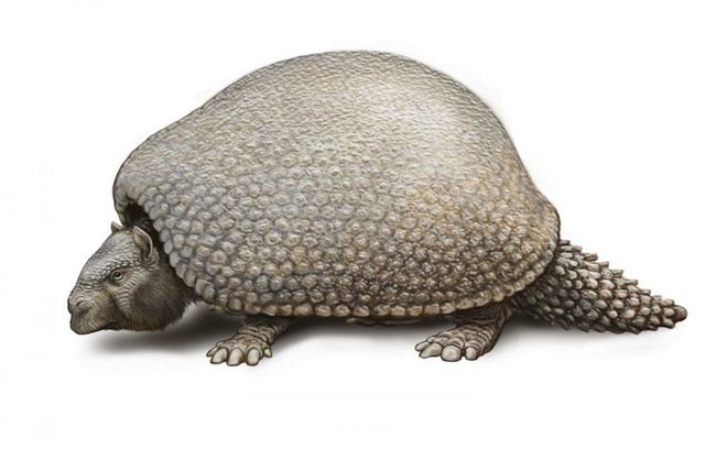 161011_ancientanimals3