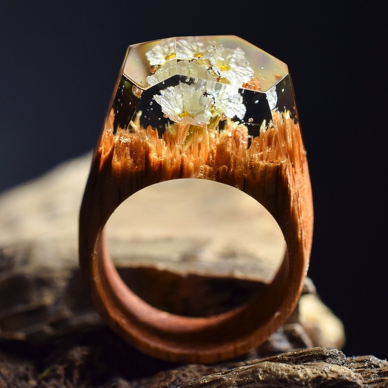 20160818_ring2