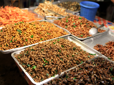 経済規模8600億円に? 昆虫食が当たり前になる未来