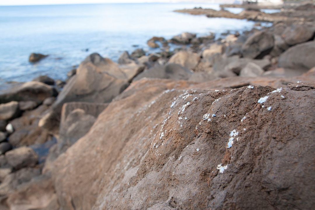 190628_platicrust_shoreline