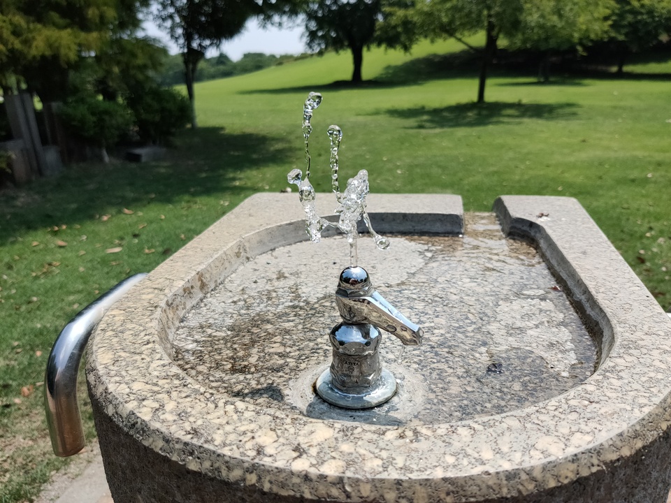 IMG20190626100214