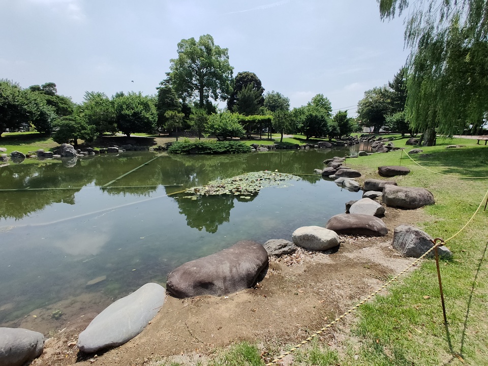 IMG20190626102146