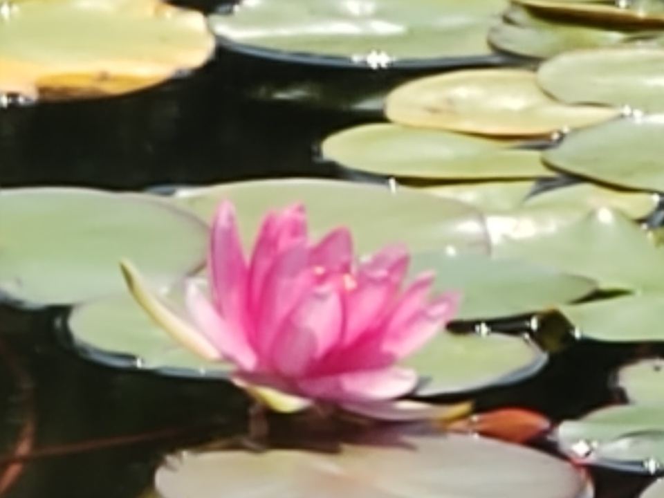 IMG20190626102216