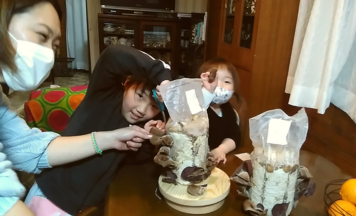 190710kikurage-05