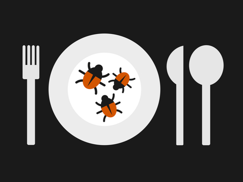 食糧難を迎え撃て! 世界的に注目される「昆虫食」の現状と可能性