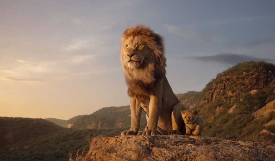 190727lionking2