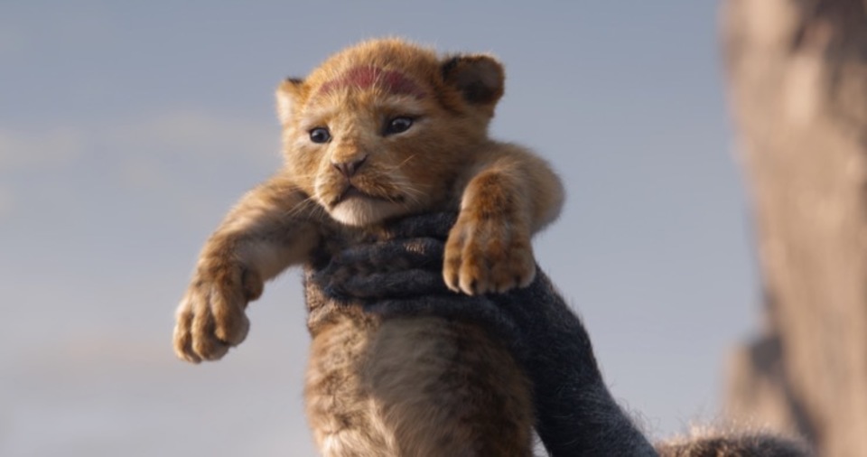190727lionking3