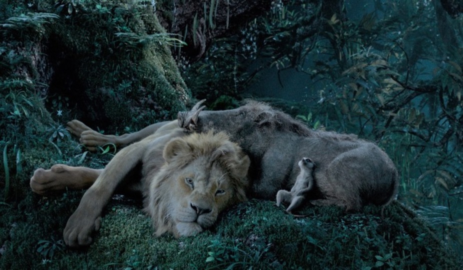 190727lionking4