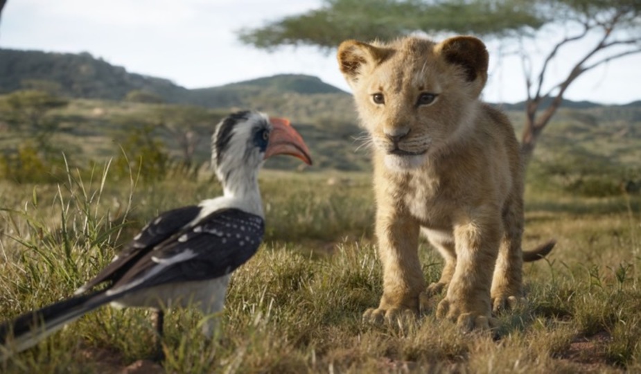 190727lionking5