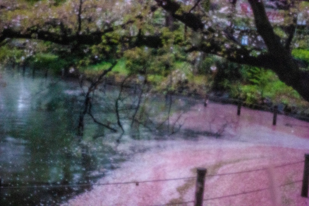 20190822-pinhole04