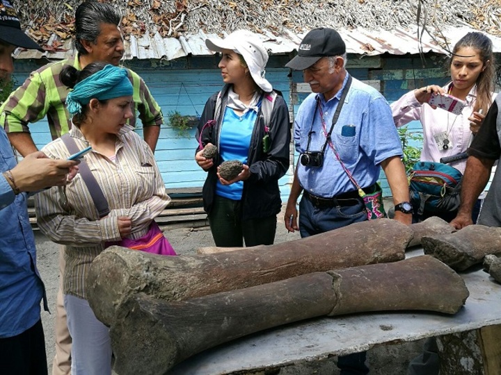 190825whales_fossils_cortes