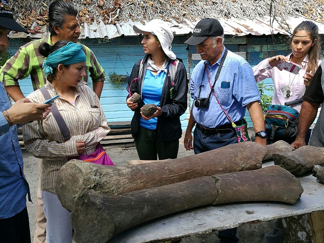 190825whales_fossils_cortes