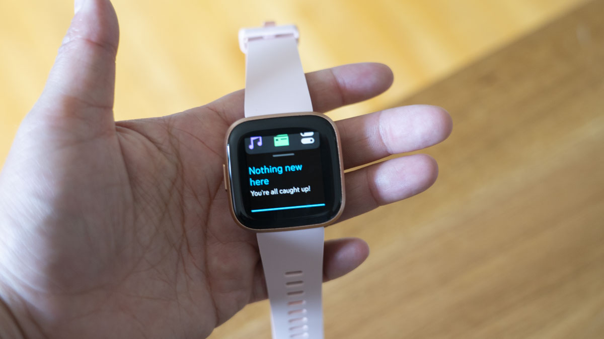 190829_fitbit03