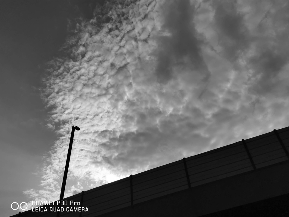 IMG_20190925_155252